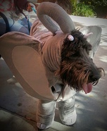 Elephant Dog Homemade Costume