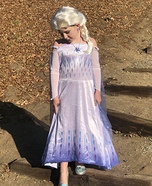 Elsa Homemade Costume