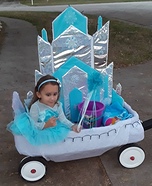 Elsa Homemade Costume