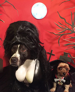 Elvira, Mistress of the Bark & Count Pupula Homemade Costume