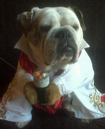 Elvis Dog Costume