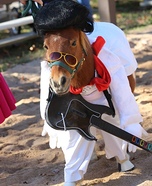 Elvis Homemade Costume