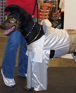 Elvis Dog Costume