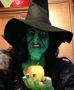 Evil Witch Homemade Costume