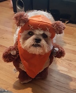 Ewok Dog Costume