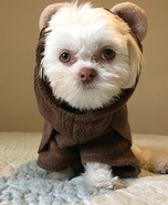 Ewok Puppy Homemade Costume