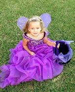 Fairy Princess Costume