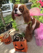 Fairy Princess Dog's Costume