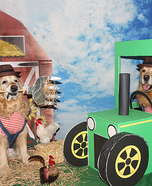Farmers on the Farm Homemade Costume