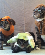 Homemade Costumes for Pets - Costume Works (page 25/71)