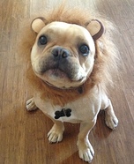 Ferocious Beast on the Loose Costume