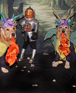 Fire Breathing Dragons Dogs Homemade Costume