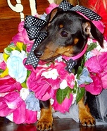Bouquet of Flowers Costume Idea for Pets
