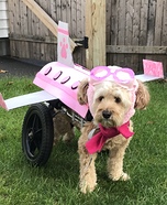 Flying Dog Homemade Costume