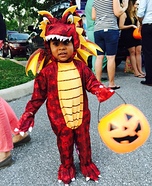 Flying Dragon Baby Costume