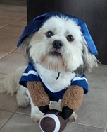 Football Fan Costume