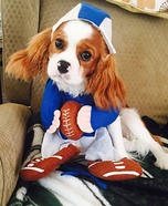 Football Player Dog Costume