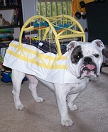 Fort Pitt Bridge Dog Homemade Costume