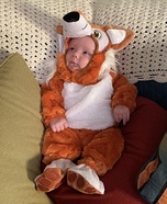 Fox Baby Costume