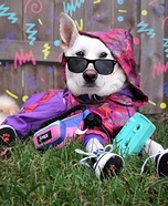 Fresh Pup of Bel Hair Homemade Costume