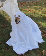 Friendly Ghost Costume
