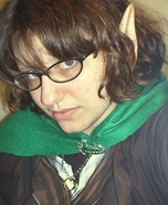 Frodo Baggins Costume