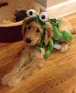 Frog Dog Costume