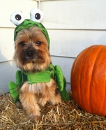 Frog Puppy Costume