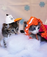 Frozen Cats Homemade Costumes