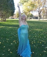 Frozen Elsa Adult Costume