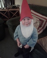 Garden Gnome Homemade Costume