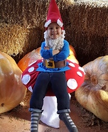 Garden Gnome sitting on a Mushroom Homemade Costume