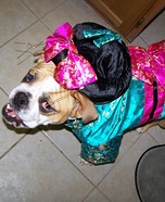 Geisha Girl Dog Homemade Costume
