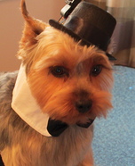 Gentlemen Costume for Dogs