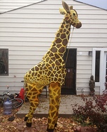 Giraffe Homemade Costume
