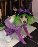 Glinda The Good Witch of The North Dog Homemade Costume