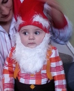 Gnome Homemade Costume