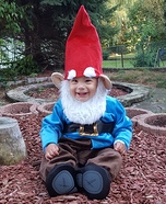 Gnome Toddler Costume