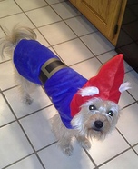 Gnome Dog Costume