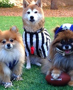 Go Team! Dogs Costume