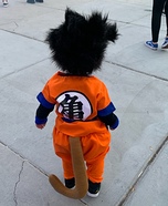 Goku from Dragon Ball Z Homemade Costume