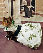 Gone with the Wind Cat Homemade Costume
