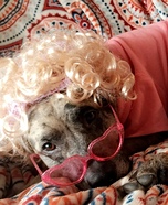 Grandma Remy Costume