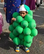 Grapes Homemade Costume