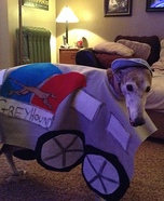 Greyhound Bus Dog Costume