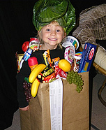 Bag of Groceries Homemade Costume Ideas