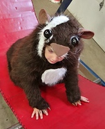 Homemade Guinea Pig Costume