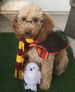 Hairy Pawter Homemade Costume