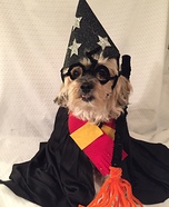 Hairy Pawter Homemade Costume