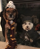 Hairy Pawter & Pawfessor Dumbledog Homemade Costume